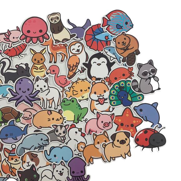 Welcome - Picture 4 of 6